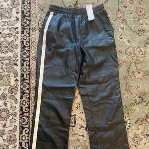 Urban Outfitters Faux Leather Pants (S)
